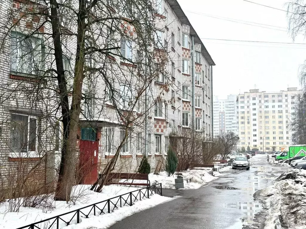 1-комнатная квартира: посёлок Парголово, улица Первого Мая, 81 (31.1 ... - Фото 0