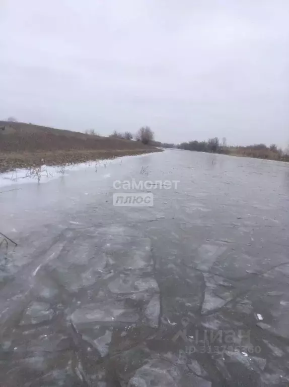 Участок в Астраханская область, Володарский район, с. Верхние Колки  ... - Фото 0