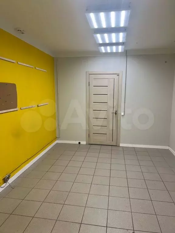 Свободного назначения, 20 м - Фото 1