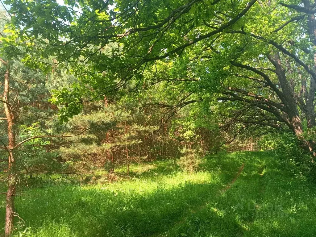 Участок в Нижегородская область, Балахнинский муниципальный округ, ... - Фото 1