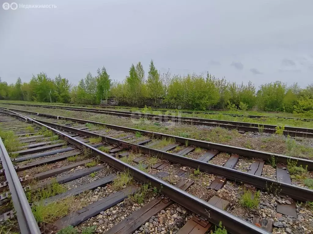 Помещение свободного назначения (647.4 м) - Фото 1