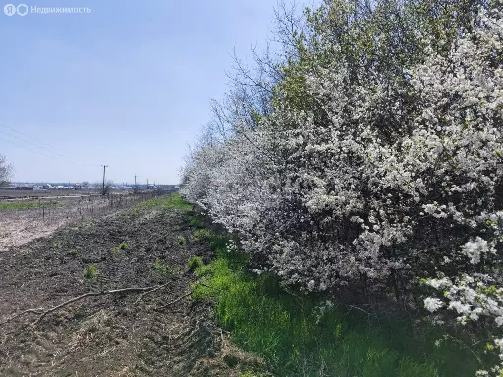 Участок в посёлок Щепкин, улица Единства (5.6 м) - Фото 0