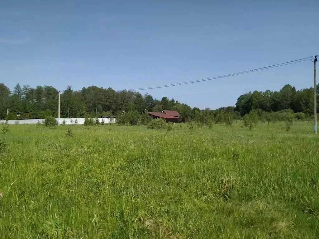 Участок в Московская область, Чехов муниципальный округ, д. Ишино ул. ... - Фото 2