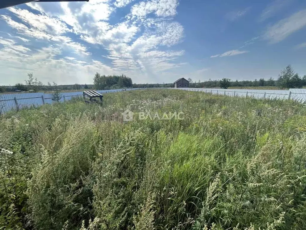 Участок в Владимирская область, Гусь-Хрустальный муниципальный округ, ... - Фото 2