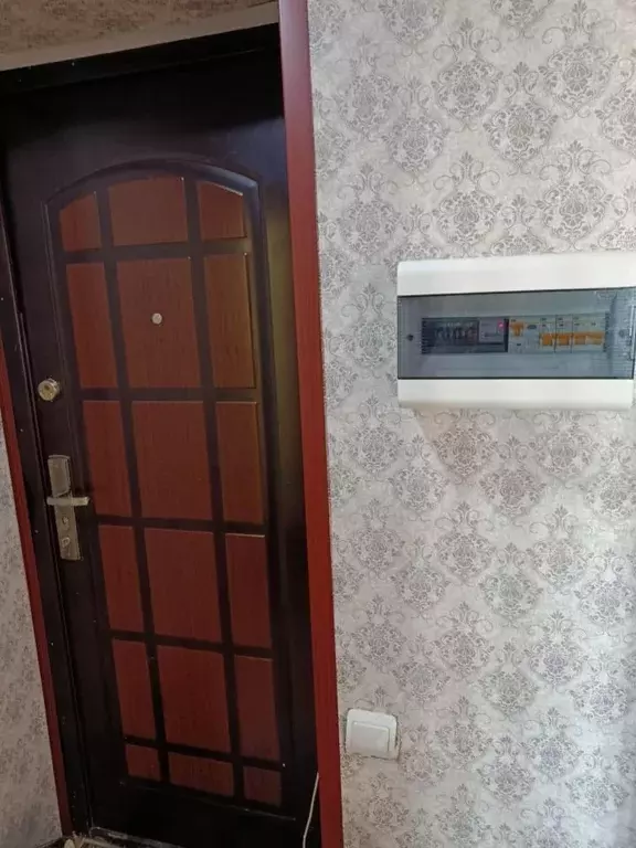 2-к кв. Нижегородская область, Бор ул. Ленина, 172 (42.0 м) - Фото 1