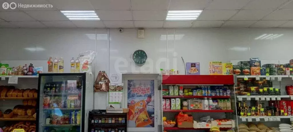 Торговая площадь (146 м) - Фото 2