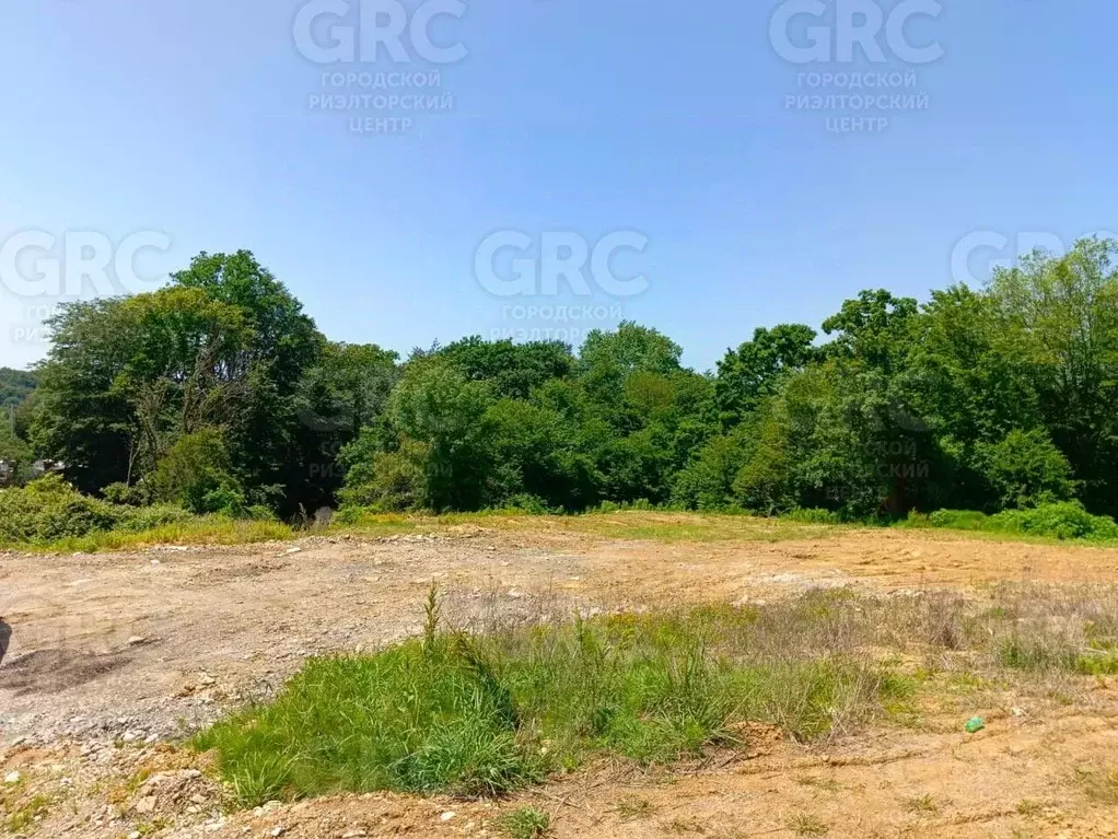 Участок в Краснодарский край, Сочи городской округ, с. Черешня ул. ... - Фото 2