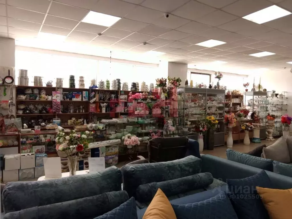 Торговая площадь в Пензенская область, Белинский Белинская ул. (36 м) - Фото 2