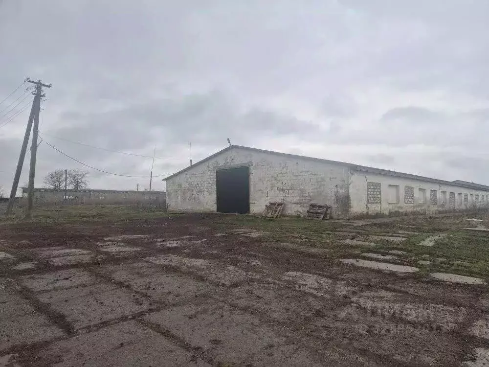 Помещение свободного назначения в Краснодарский край, Северский район, ... - Фото 1