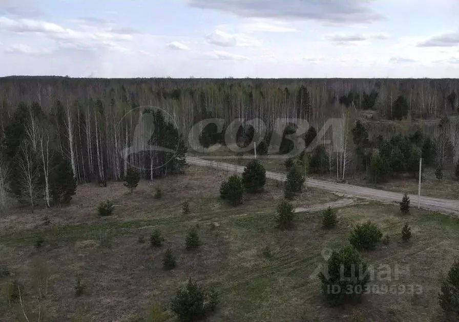 Участок в Тюменская область, Нижнетавдинский район, д. Штакульская  ... - Фото 0