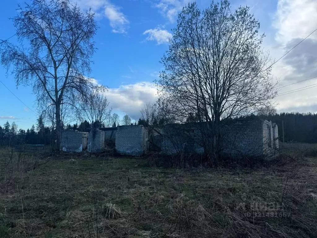 Помещение свободного назначения в Карелия, Лахденпохский муниципальный ... - Фото 2