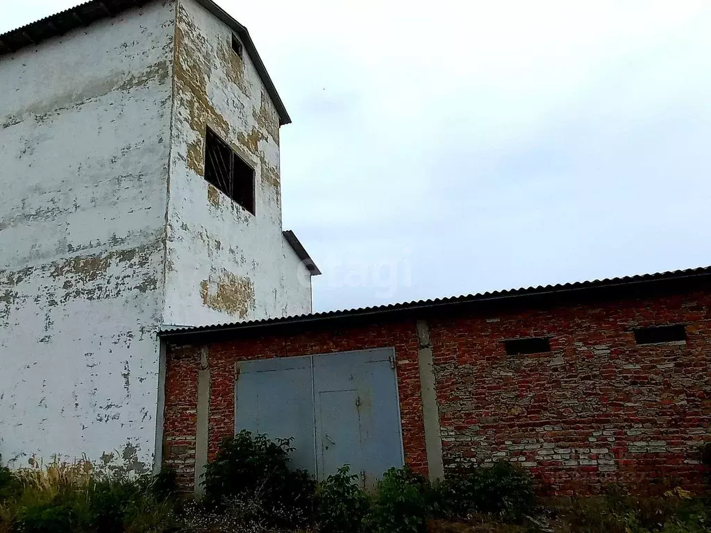 Помещение свободного назначения в Тамбовская область, Мичуринский ... - Фото 1