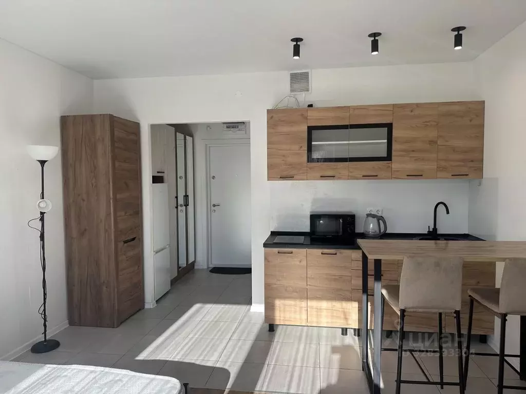 Студия Московская область, Красногорск городской округ, пос. ... - Фото 2