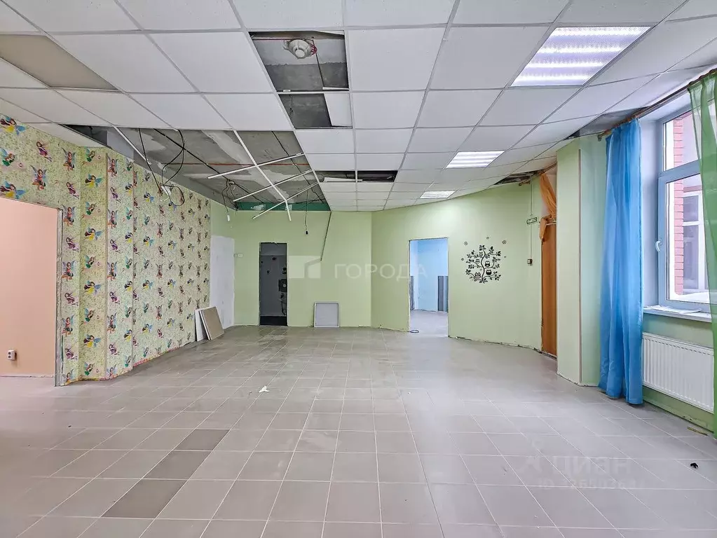 Офис в Новосибирская область, Новосибирск ул. В. Высоцкого, 51 (90 м) - Фото 2