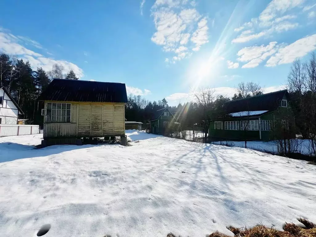 Участок в Московская область, Одинцовский городской округ, Хвойное СТ ... - Фото 2
