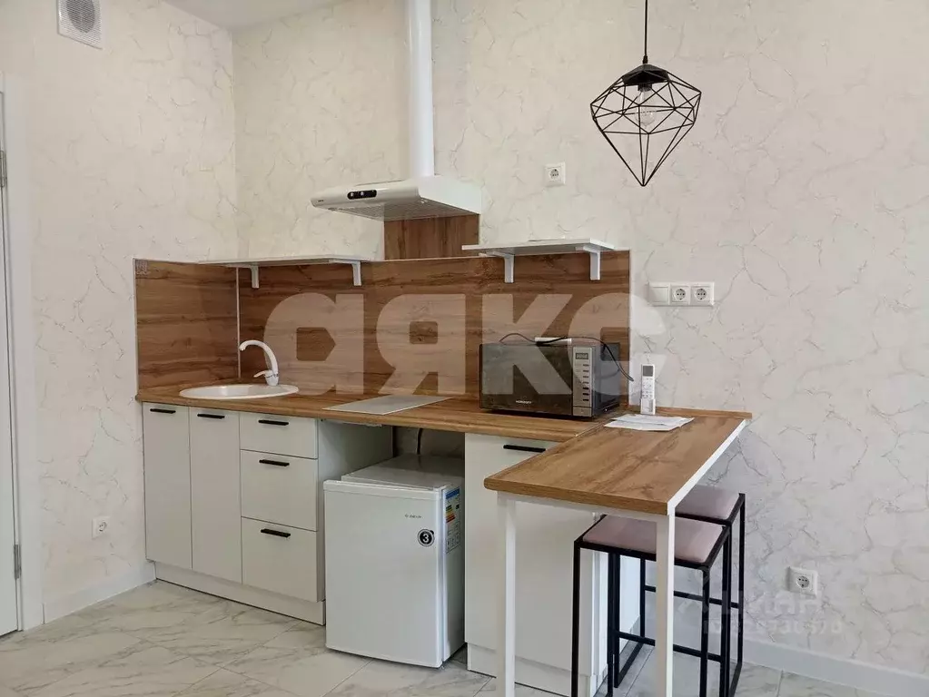 Студия Краснодарский край, Горячий Ключ Рябиновая ул., 2Бк2 (21.0 м) - Фото 2