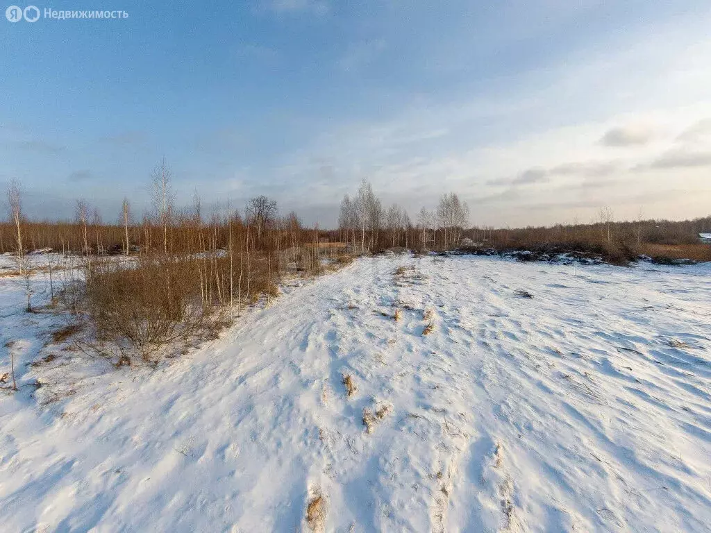 Участок в Нижнетавдинский район, садоводческое некоммерческое ... - Фото 1