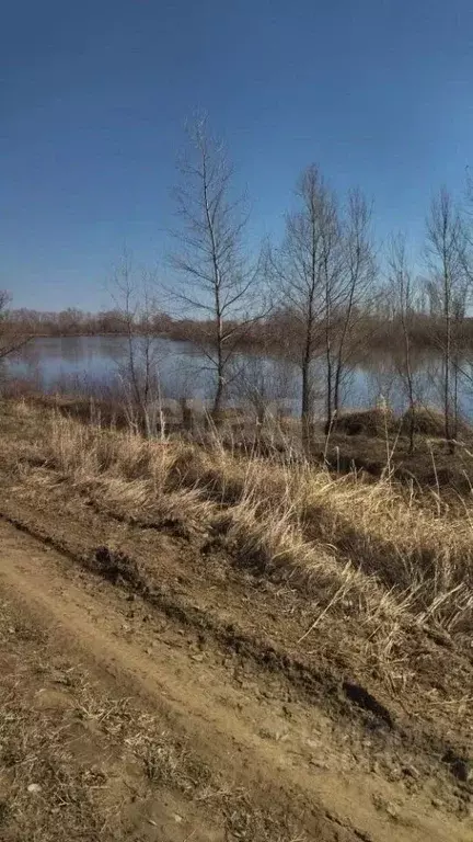 Участок в Тюменская область, Тюменский муниципальный округ, ... - Фото 1