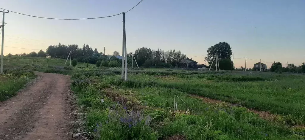 Участок в Кировская область, Слободской район, Шиховское с/пос, д. ... - Фото 0