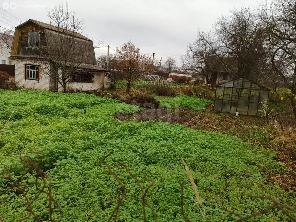 Дом в Супоневское сельское поселение, СДТ Чайка (16 м) - Фото 2