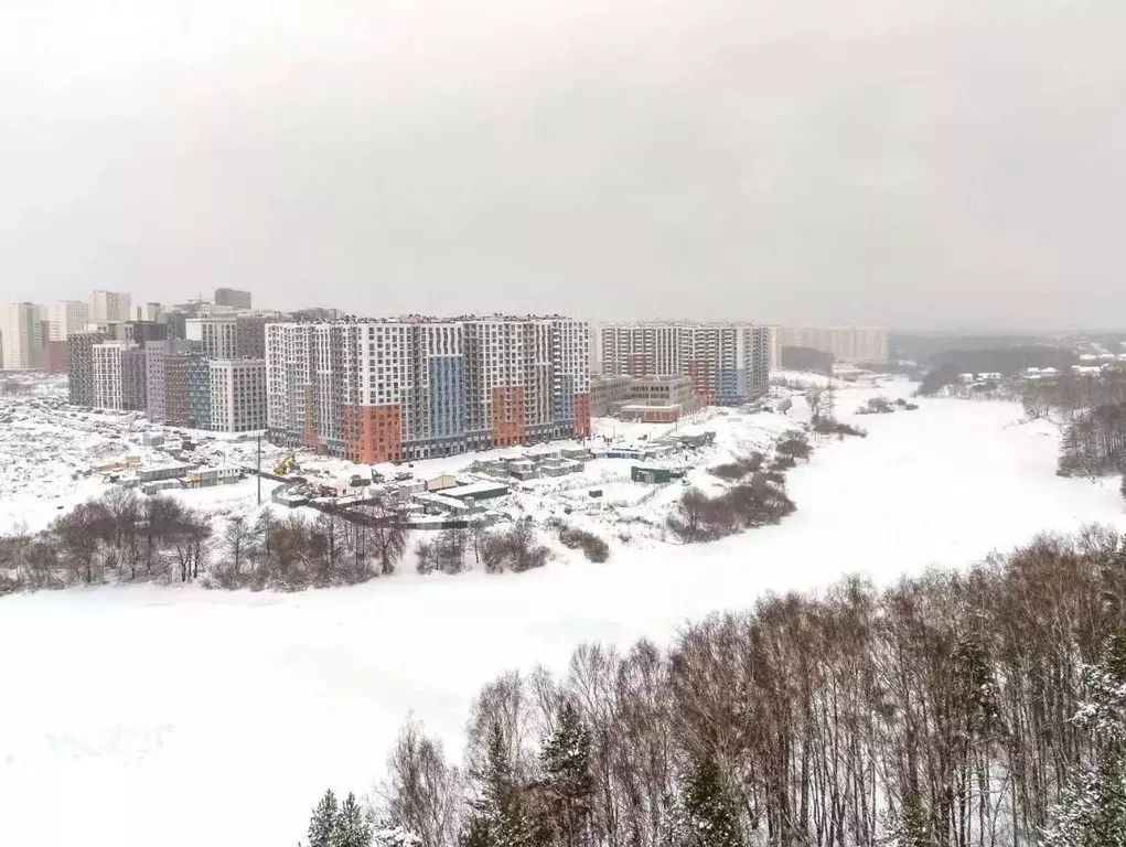3-к кв. Московская область, Ленинский городской округ, д. Сапроново, ... - Фото 2