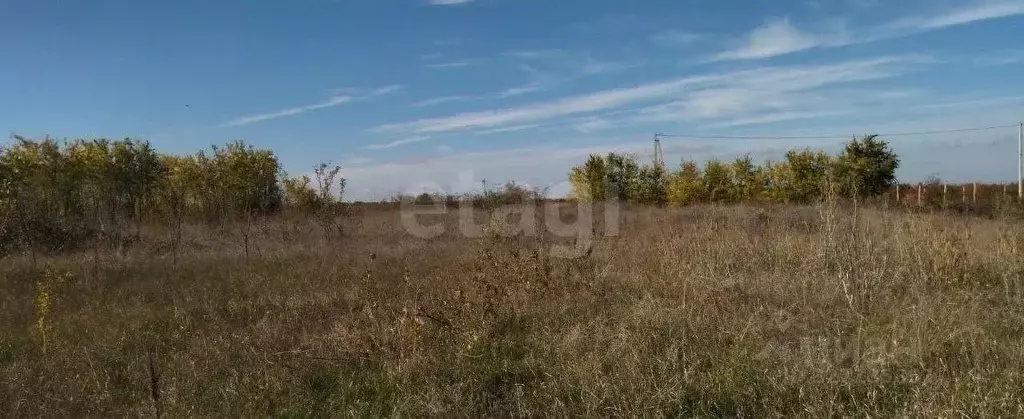 Участок в Крым, Ленинский район, Щелкино городское поселение, ... - Фото 1