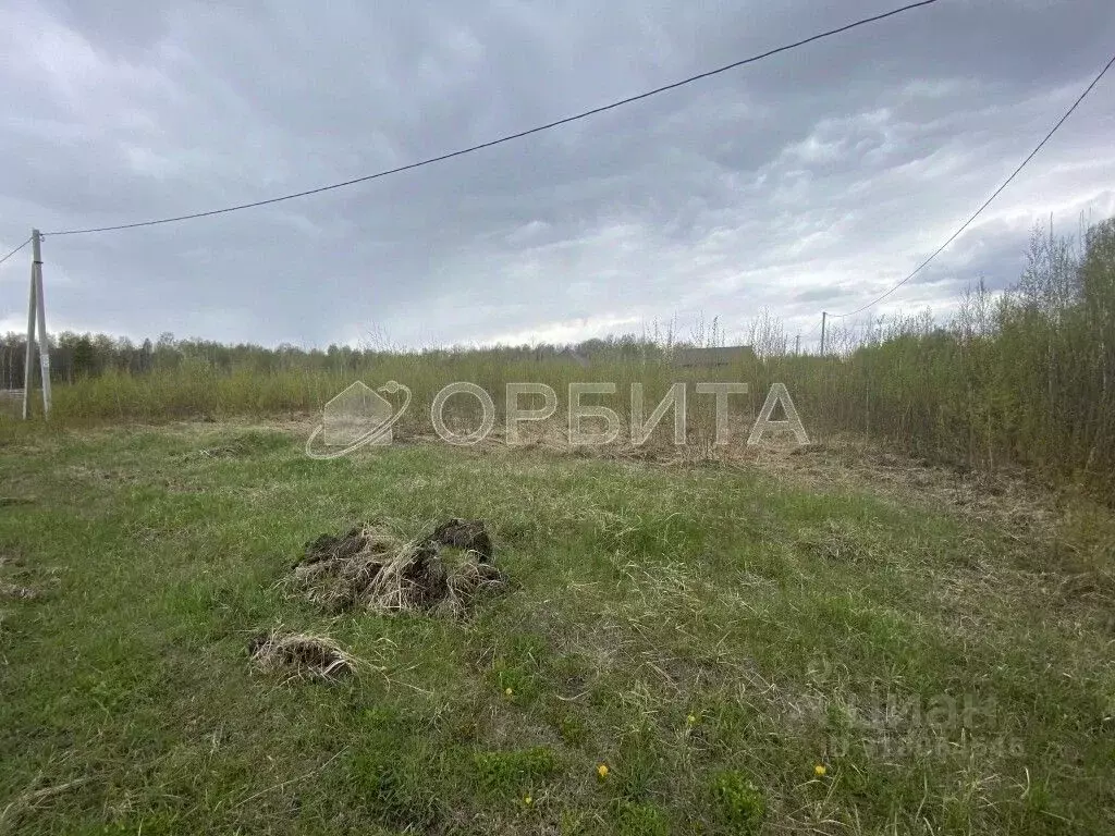 Участок в Тюменская область, Тюменский район, с. Салаирка  (10.0 сот.) - Фото 1