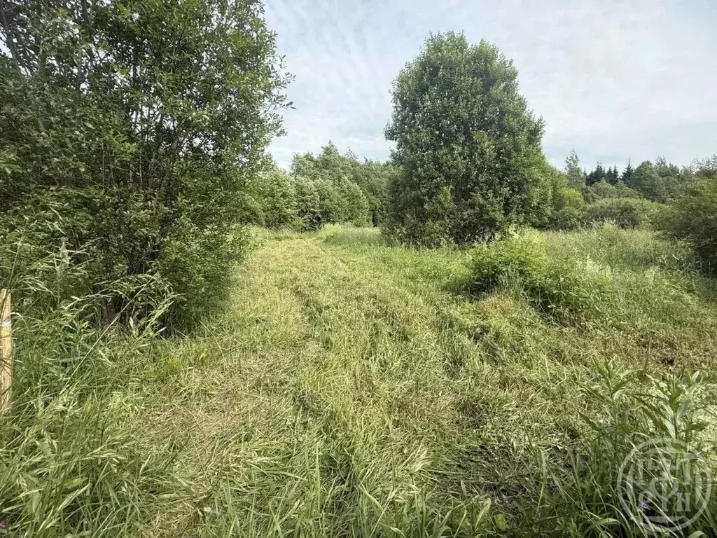 Участок в Ленинградская область, Выборгский район, Красносельское ... - Фото 1