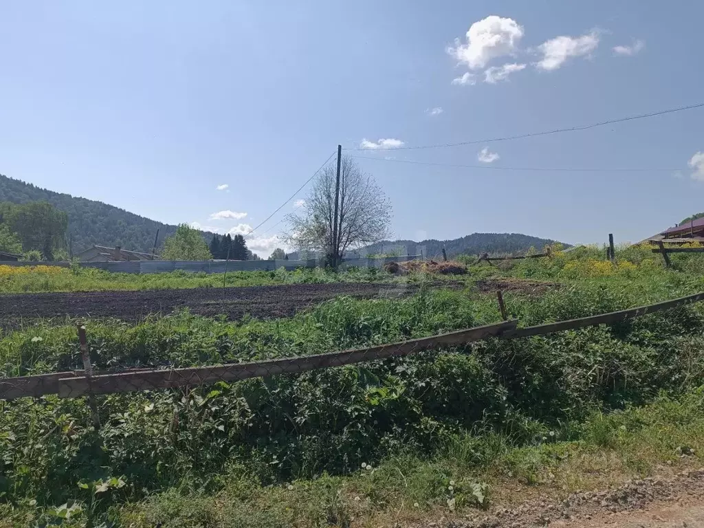 Участок в Алтай, Майминский район, с. Бирюля Центральная ул. (7.8 ... - Фото 1