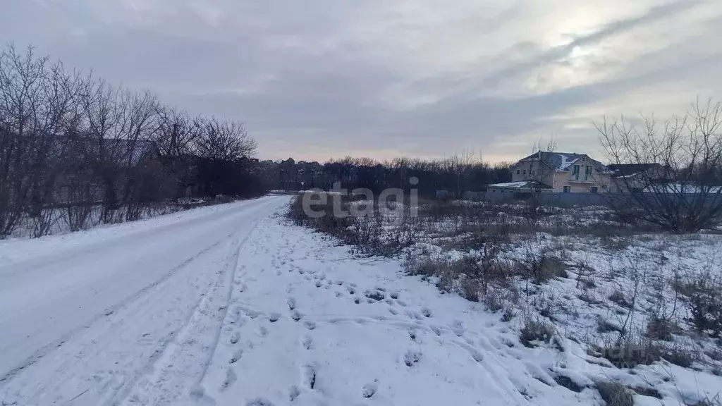Участок в Белгородская область, Белгородский район, Тавровское с/пос, ... - Фото 0