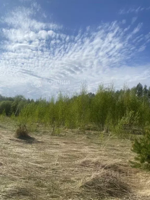 Участок в Чувашия, Чебоксарский муниципальный округ, д. Пархикасы ул. ... - Фото 1