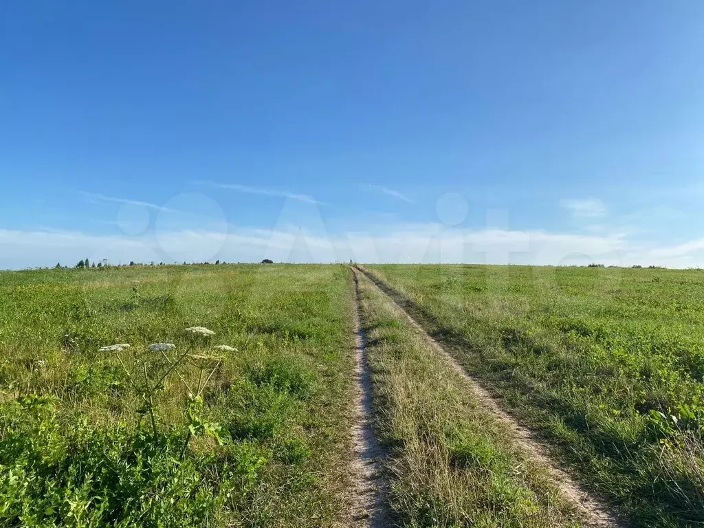 Участок 15 сот. (ИЖС) - Фото 1