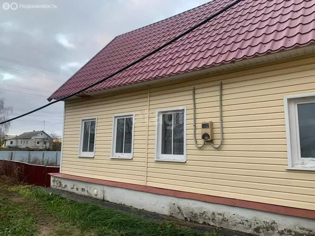 Дом в село Турмасово, улица Исакова, 9 (38 м) - Фото 1