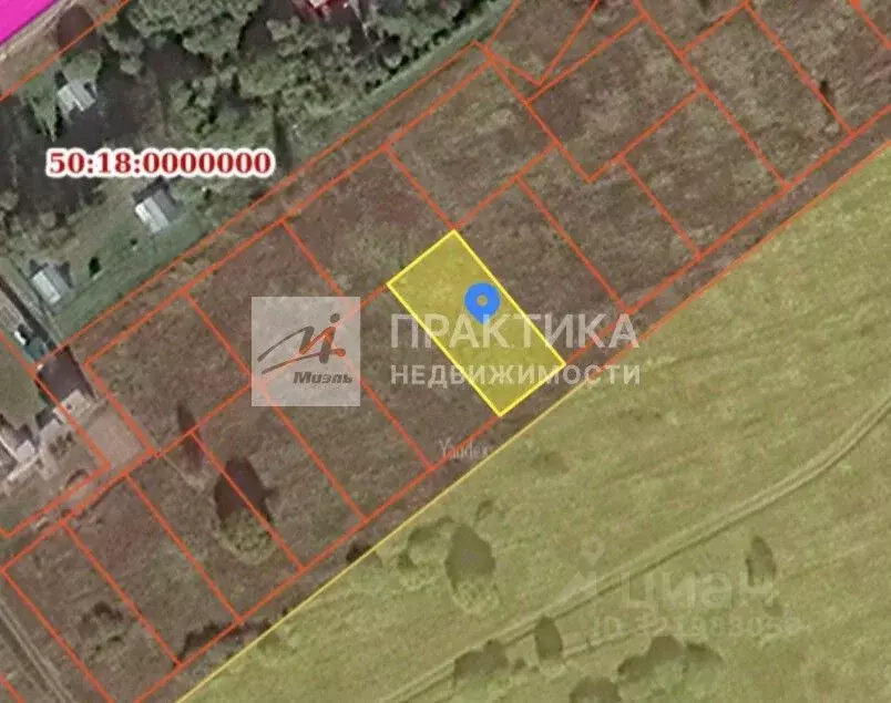 Участок в Московская область, Можайский муниципальный округ, д. ... - Фото 1