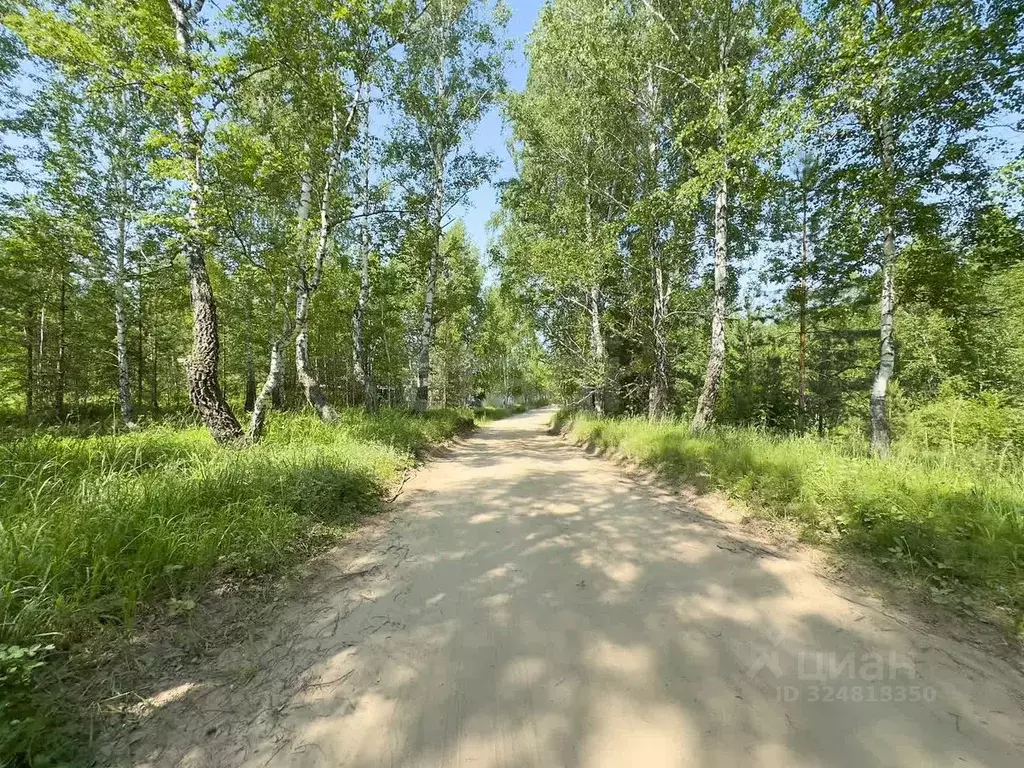 Участок в Тюменская область, Нижнетавдинский муниципальный округ, пос. ... - Фото 1