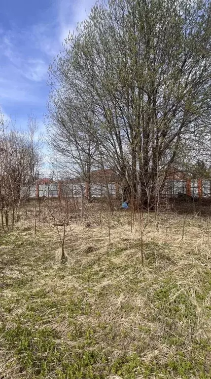 Участок в Московская область, Дедовск г. Истра муниципальный округ, ... - Фото 2