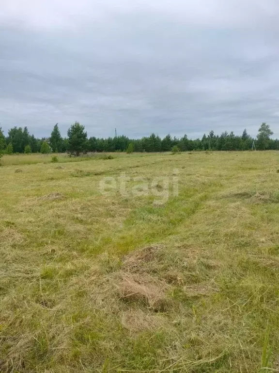 Участок в Липецкая область, Грязинский район, Плехановский сельсовет, ... - Фото 2