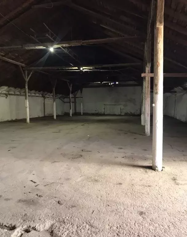 Склад в Томская область, Томск ул. Мичурина, 16с11 (1200.0 м) - Фото 0
