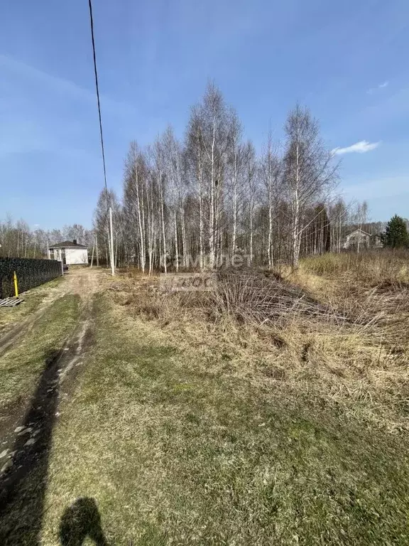 Участок в Нижегородская область, Бор Чайка СНТ,  (6.0 сот.) - Фото 1