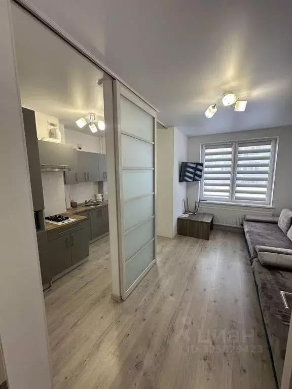 Студия Калининградская область, Светлогорск ул. Молодежная, 21 (24.0 ... - Фото 1