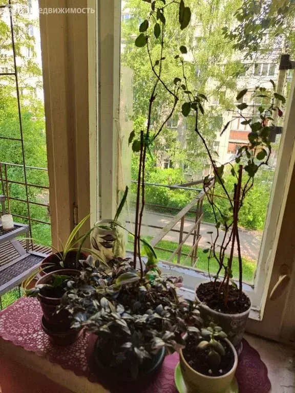 1к в 7-комнатной квартире (12.3 м) - Фото 1