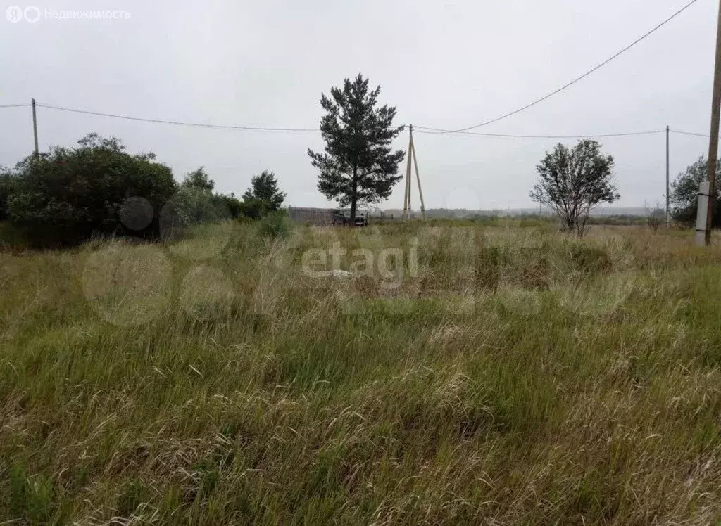 Участок в Калиновское сельское поселение, деревня Ялунина, Центральная ... - Фото 0