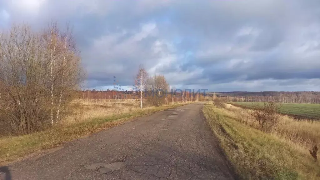 Участок в Нижегородская область, Лысковский район, с. Окишино Верхняя ... - Фото 1