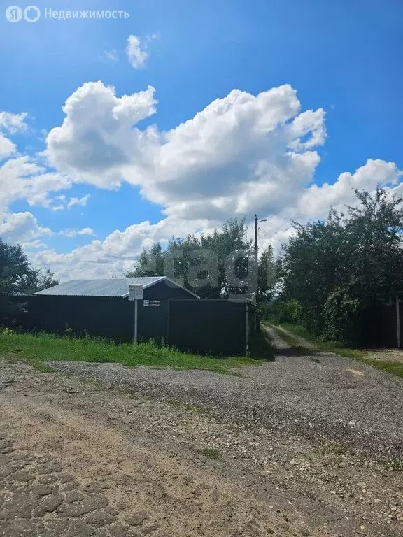 Участок в Воронежская область, Хохольское городское поселение, ПКС ... - Фото 1