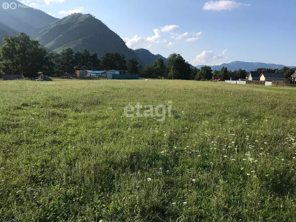 Участок в Чемальский район, село Чемал (11 м) - Фото 0