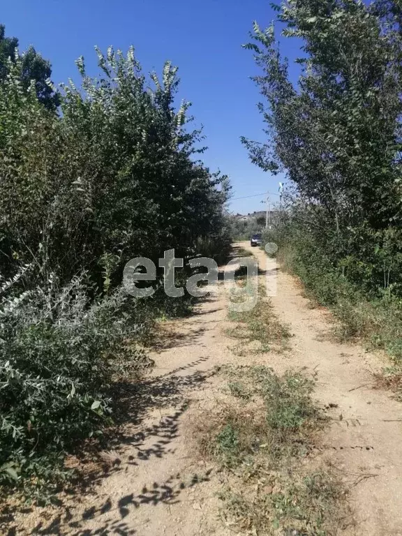 Участок в Калининградская область, Калининград Весна СНТ, проезд ... - Фото 1