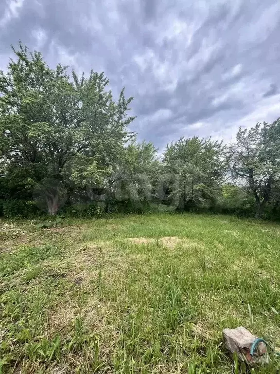 Участок 100 га (личное подсобное хозяйство (лпх)) - Фото 0