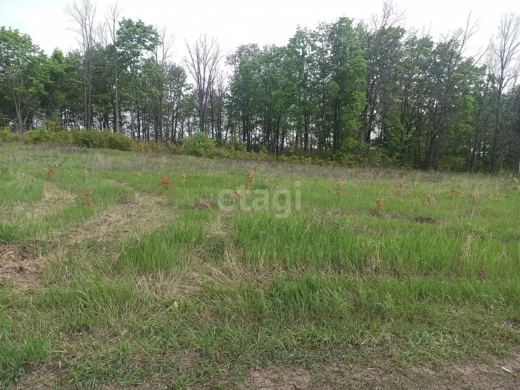 Участок в Воронежская область, Семилукский район, с. Девица, Поречье-2 ... - Фото 1