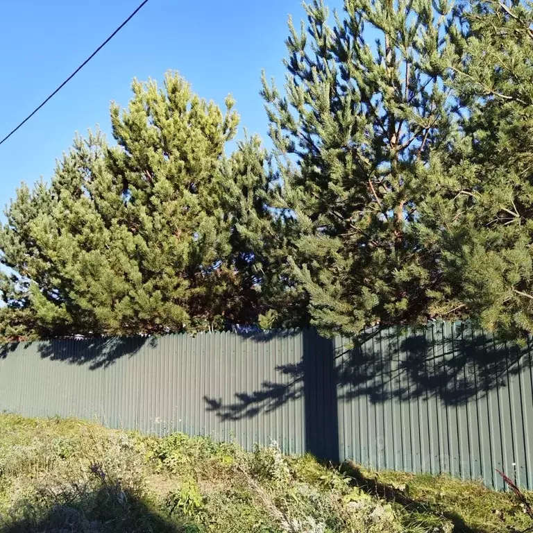Участок в Нижегородская область, Бор муниципальный округ, пос. ... - Фото 0