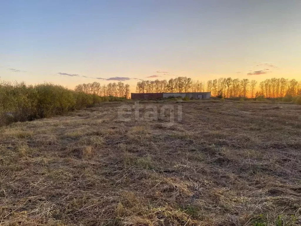 Участок в Амурская область, с. Тамбовка пер. Рабочий, 1 (15.0 сот.) - Фото 1